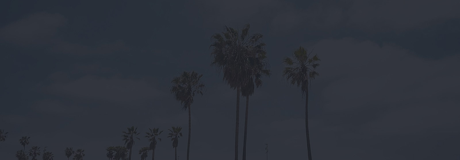 Form Background