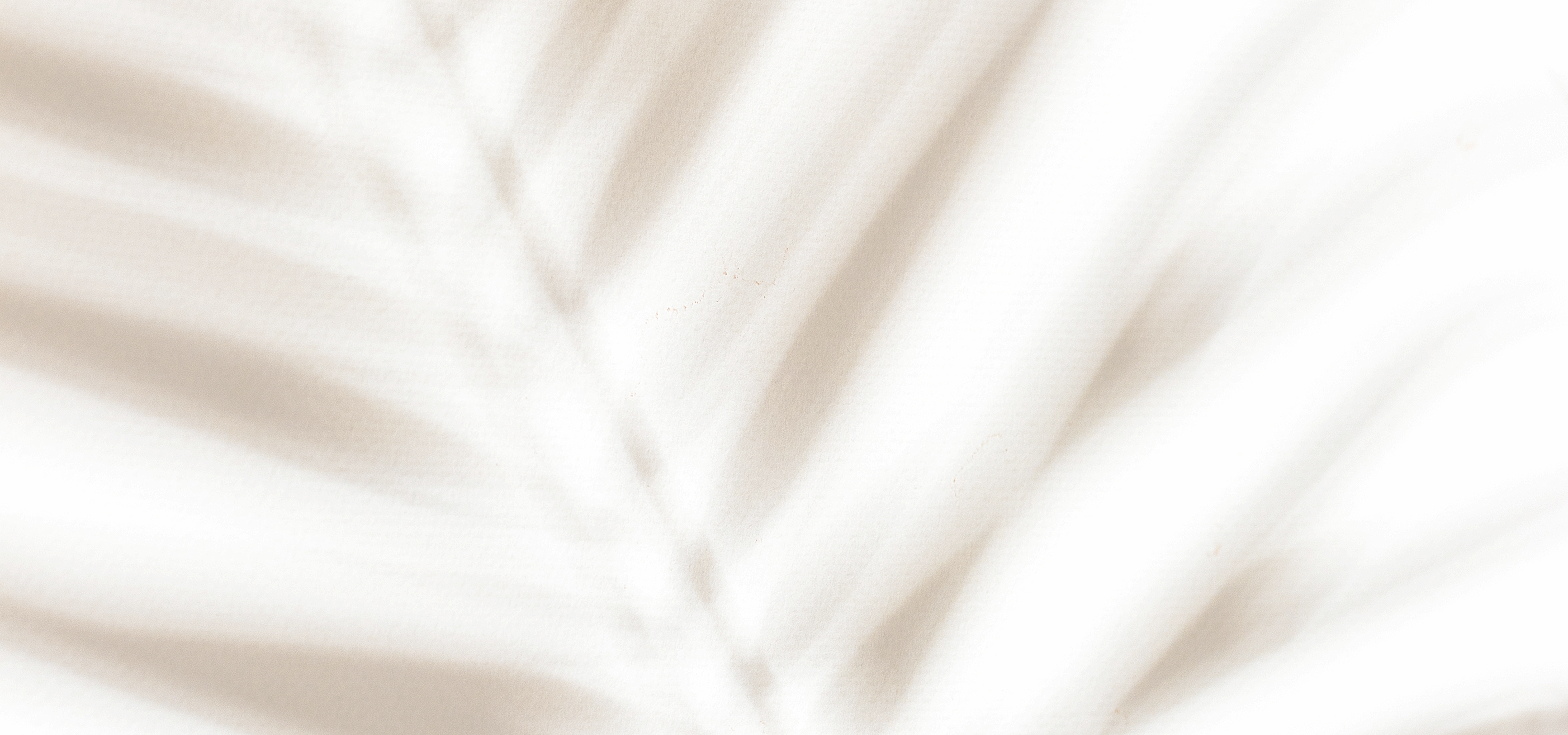 Close-up of a textured leaf surface.
